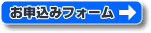 ���\���݃t�H�[��
